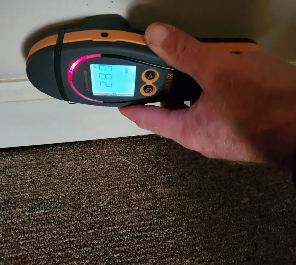 Moisture detection at baseboard during Mold Inspection & Testing in Oak Ridge